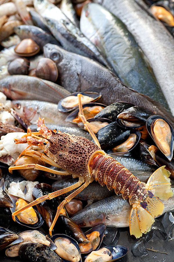 food photographer, cape town